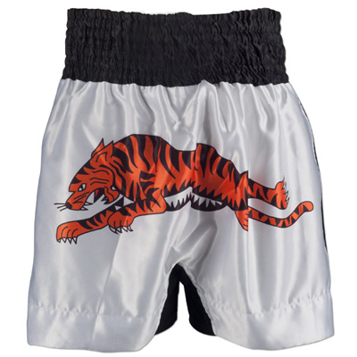 MMA Shorts 